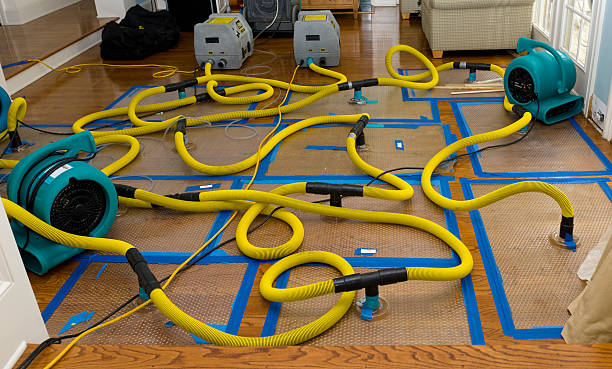Professional Water Damage Restoration technician working in Angora, MN